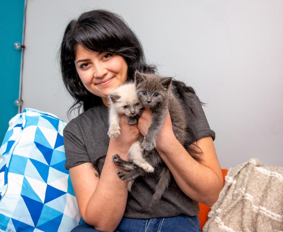 Person holding up two tiny kittens